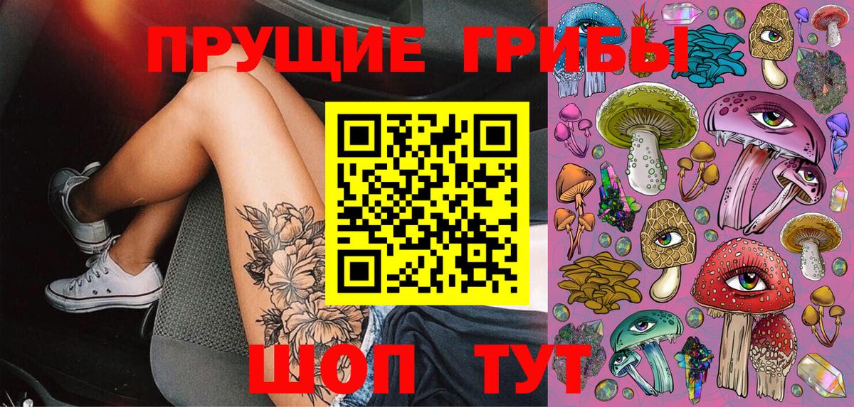 Галлюциногенные грибы прущие грибы  Вход с VPN  Галлюциногенные грибы Cubensis  Кузнецк 