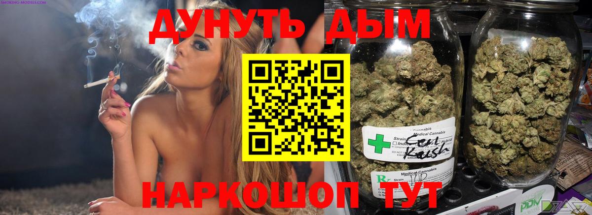 Конопля AK-47  Вход с VPN  МАРИХУАНА конопля  Марихуана марихуана  Кузнецк 